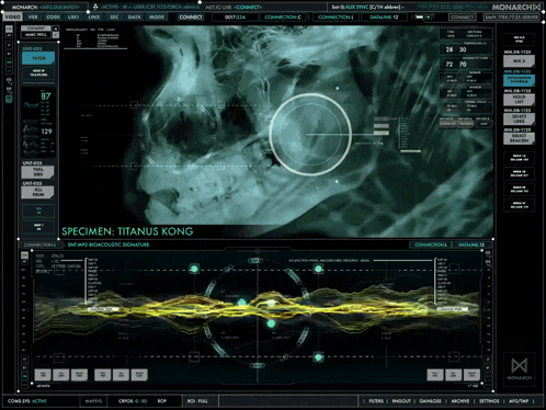 a computer screen shows a picture of a skull and the words specimen titanus kong