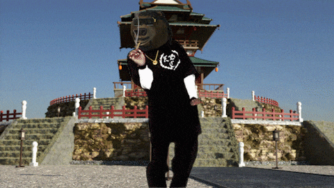 a man with a bear head wearing a black t-shirt with a chinese symbol on it