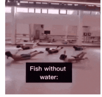 a group of people are doing exercises in a gym and the caption says fish without water