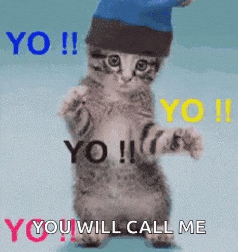 a kitten wearing a blue hat says yo !! yo !! yo !! yo !! you will call me