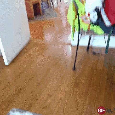 Omg Snack Time GIF - Omg Snack Time Cat GIFs
