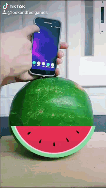 I Watermelon Watermelon App GIF - I Watermelon Watermelon App Watermelon Detector GIFs