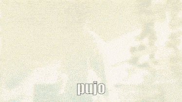 a pixelated image of a person with the word pujo in the corner