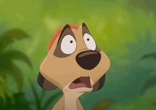 The Lion King Timon GIF - The Lion King Timon Meerkat GIFs