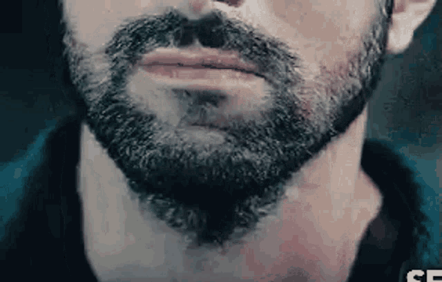 a close up of a man with a beard and mustache .