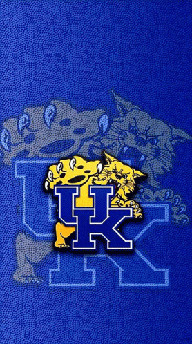 Kentucky Wildcat Basketballq GIF
