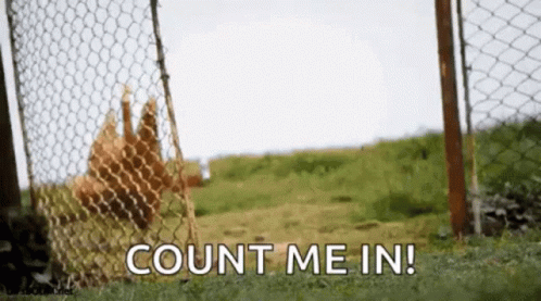 Running Chicken Count Me In GIF - Running Chicken Count Me In Wave GIFs