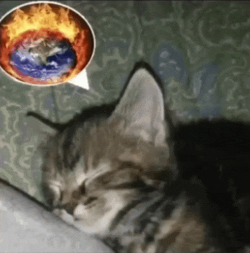 a cat is sleeping in front of a speech bubble with a picture of the earth on it