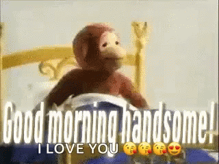 Good Morning Handsome Monkey GIF - Good Morning Handsome Monkey GIFs