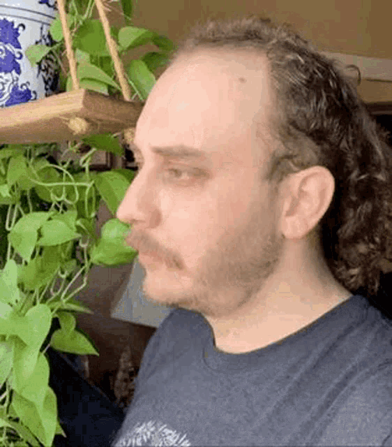 a man with a beard and long hair is sitting in front of a plant .