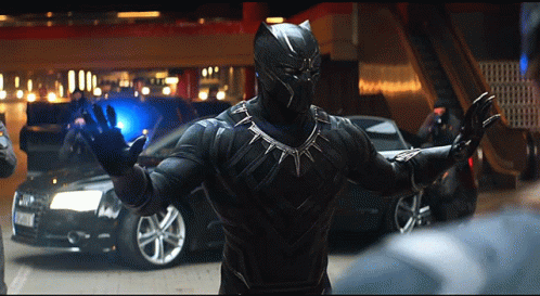 Black Panther T Challa GIF - Black Panther T Challa Chadwick Boseman GIFs