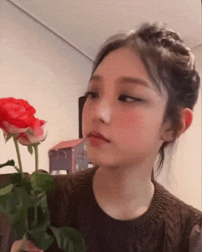 a girl in a brown sweater holds a red rose in her hand