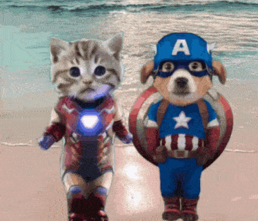 a cat and a dog dressed in captain america costumes