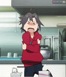 a person in a red hoodie is standing in a kitchen