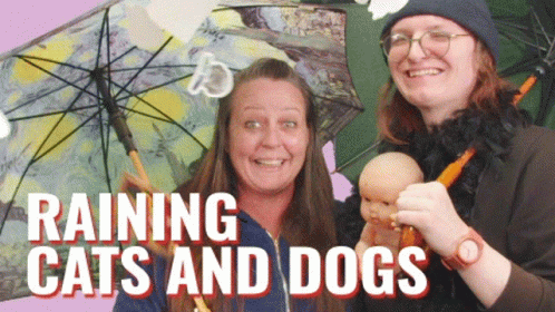 Stickergiant Raining Cats And Dogs GIF - Stickergiant Raining Cats And Dogs Raining Out GIFs