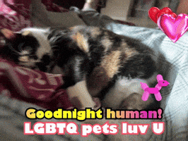 a calico cat is laying on a bed with the words goodnight human lgbtq pets luv u above it