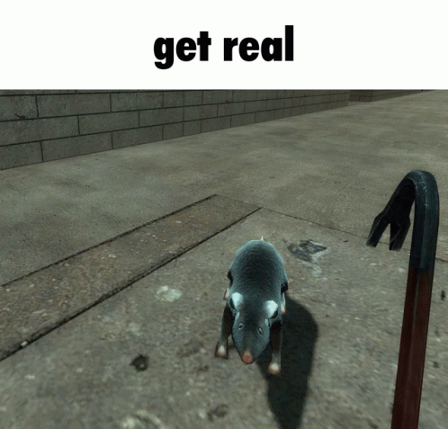 Rat Smash GIF - Rat Smash Dead GIFs