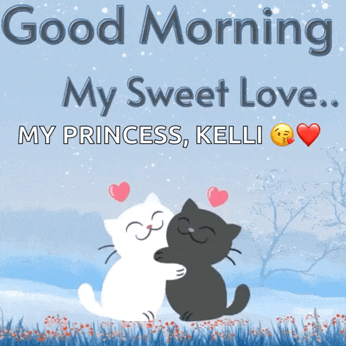 a couple of cats hugging each other with the words good morning my sweet love my princess kelli
