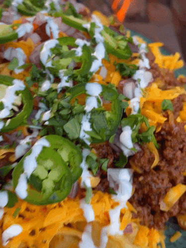 a close up of a plate of food with jalapenos and sour cream on top
