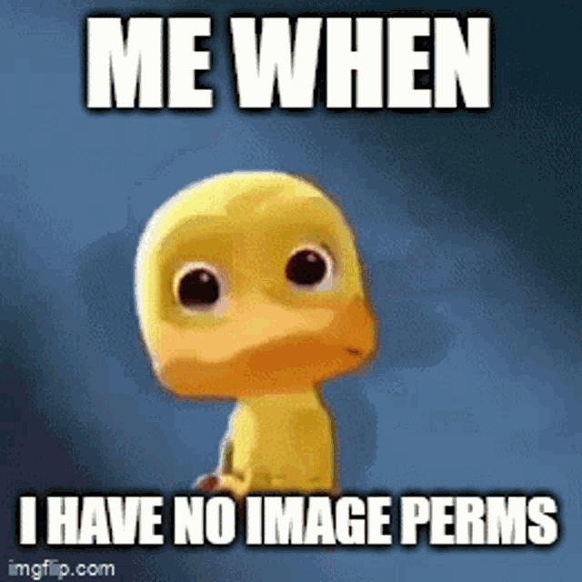 No Image Perms Level15 GIF - No Image Perms Level15 Crying Duck GIFs