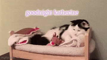 a black and white cat is laying in a small bed with the words goodnight katherine written above it