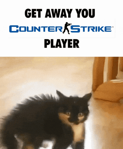 a picture of a cat next to a counter strike player logo