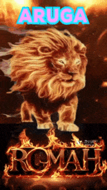 a lion with the name aruga written on it