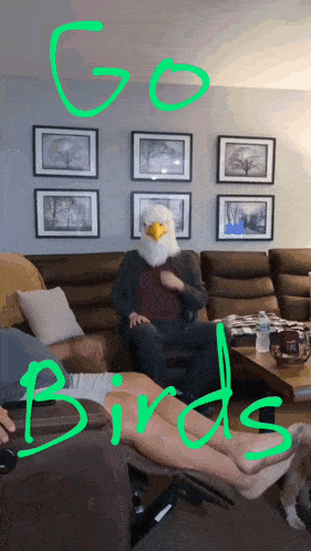 a man wearing an eagle mask sits on a couch with the words go birds above him