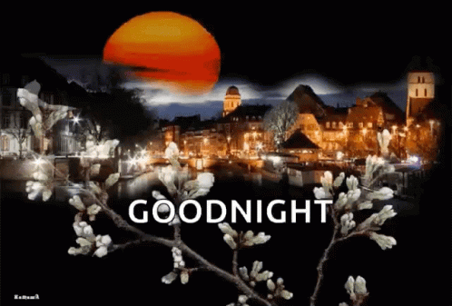 Good Night Night GIF - Good Night Night Flowers GIFs