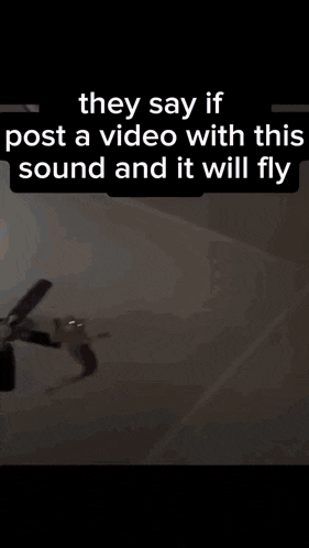 a cat is flying through the air with the words they say if post a video with this sound and it will fly