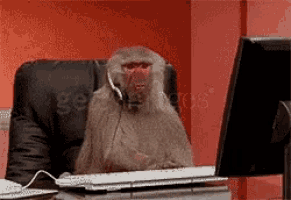 a monkey wearing a headset sits at a desk in front of a computer monitor