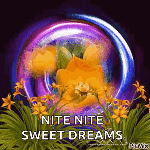 a greeting card with flowers and the words `` nite nite sweet dreams '' .