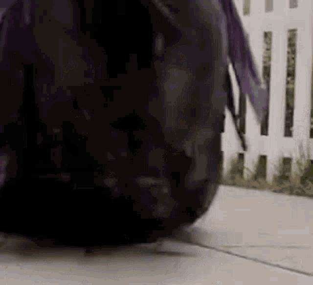 a person is walking down a sidewalk with a large black backpack .