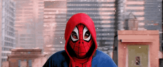 a man wearing a spiderman mask and a hoodie is standing in front of a city skyline .