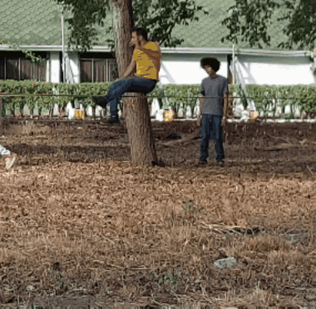 a man in a yellow shirt sits on a tree stump in the middle of a field