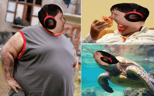 a picture of a man wearing headphones and a picture of a sea turtle