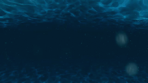 Underwater GIF - Underwater GIFs