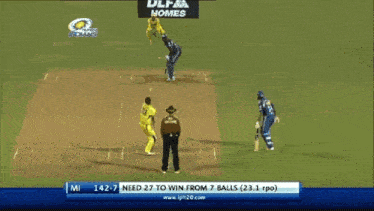 a cricket player wearing a number 77 jersey celebrates with another player
