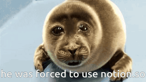 He Was Forced To He Was Forced Use Notion GIF - He Was Forced To He Was Forced Use Notion Notion GIFs