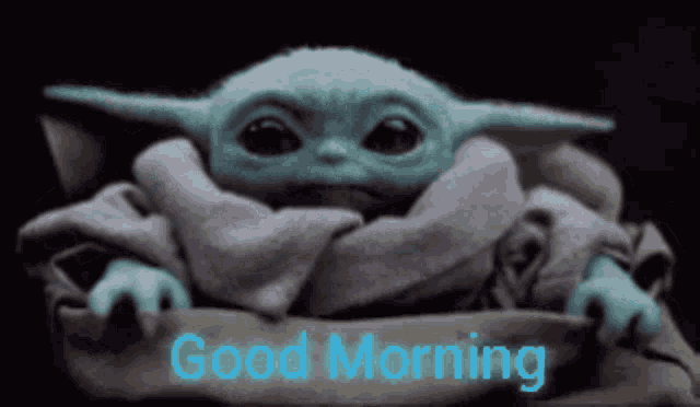 a baby yoda is wrapped in a blanket with the words `` good morning '' written on it .