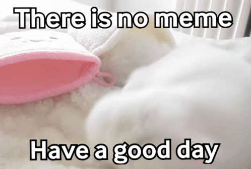 Soft Wholesome GIF - Soft Wholesome Bunny GIFs