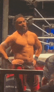 a shirtless wrestler with a beard is standing in a wrestling ring with his hands on his hips .
