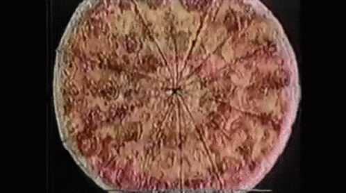 Pizza Hut Pizza GIF - Pizza Hut Pizza Spinning Pizza GIFs