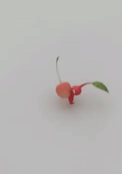 Red Pikmin GIF - Red Pikmin GIFs