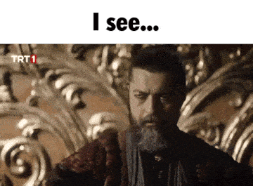 a man with a beard is sitting in a chair with the words i see