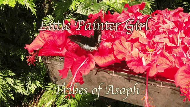 Tribes Of Asaph Bluergeenland GIF - Tribes Of Asaph Bluergeenland Tribes Of Asaph Little Painter Girl GIFs