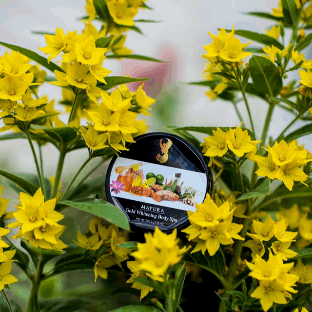 a mayura product is surrounded by yellow flowers and leaves