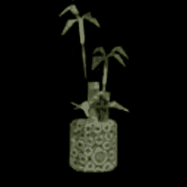 a small green plant is growing in a clear vase on a black background .