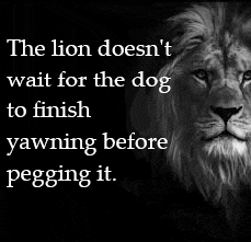 a black and white photo of a lion with a quote .