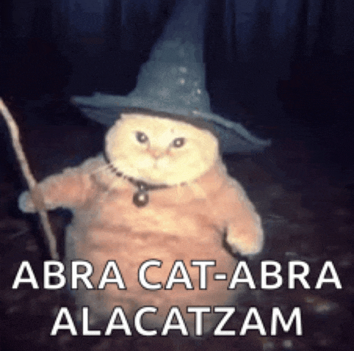 a cat wearing a witch hat and holding a stick .